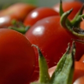 5 productos cancerígenos que debes excluir de tu dieta