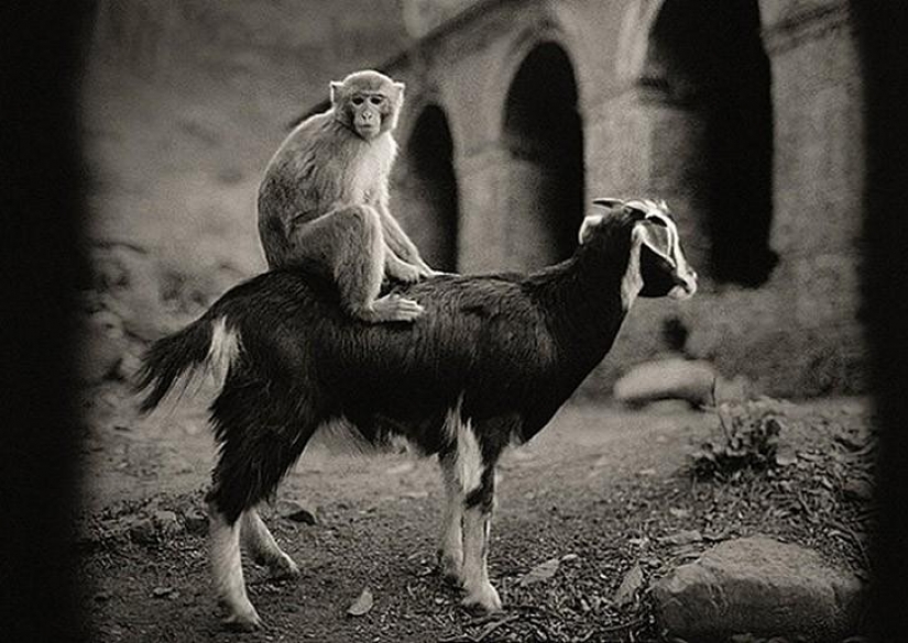 50 wonderful black and white pictures from the masters of photography 50 wonderful black and white pictures from the masters of photography