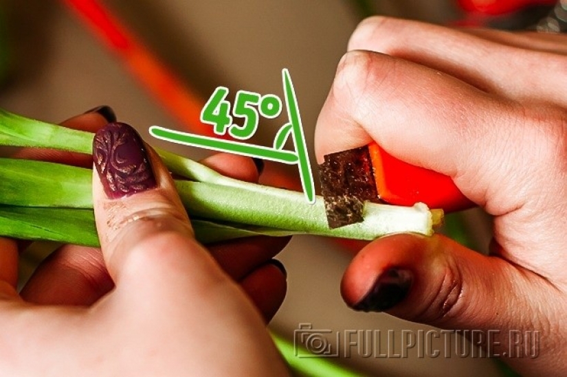 6 formas sencillas de conservar las flores frescas por más tiempo 6 formas sencillas de conservar las flores frescas por más tiempo