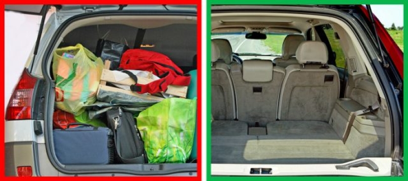 6 preciosos halcones que pueden ayudarte a gastar menos en combustible 6 preciosos halcones que pueden ayudarte a gastar menos en combustible