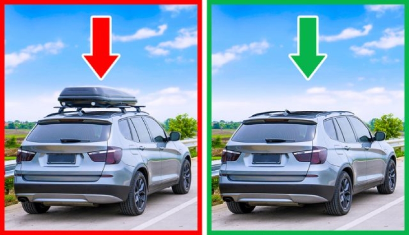 6 preciosos halcones que pueden ayudarte a gastar menos en combustible 6 preciosos halcones que pueden ayudarte a gastar menos en combustible