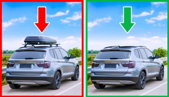 6 preciosos halcones que pueden ayudarte a gastar menos en combustible 6 preciosos halcones que pueden ayudarte a gastar menos en combustible