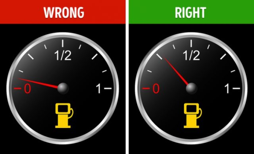 6 precious hawks who can help you spend less on fuel 6 precious hawks who can help you spend less on fuel