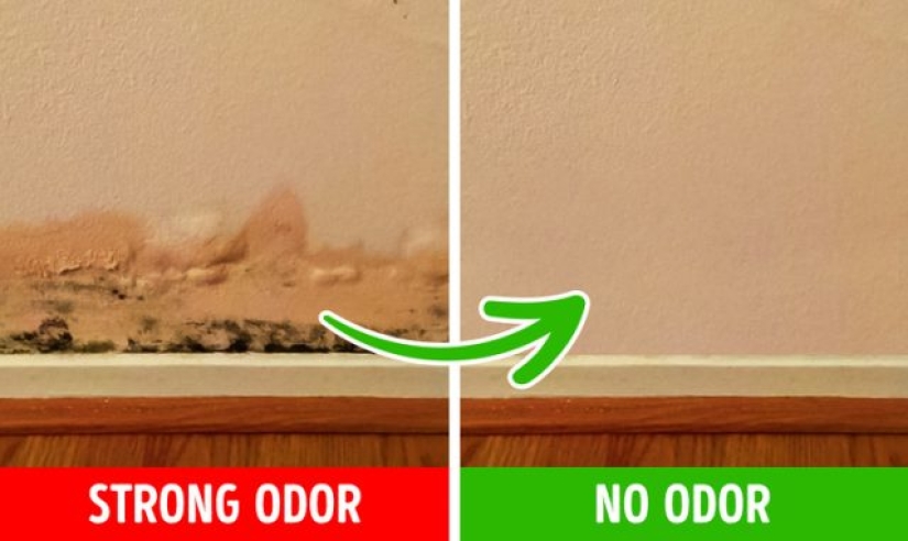6 razones por las que tu casa huele mal