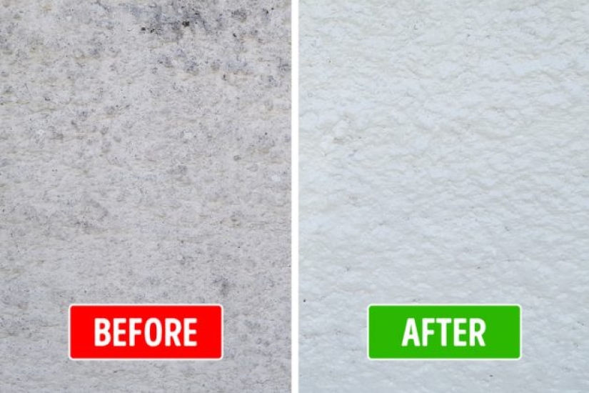 6 razones por las que tu casa huele mal