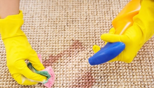 6 reasons why your home smells bad