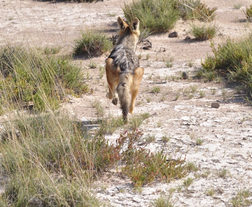 7 almost incredible facts about the Milky Way