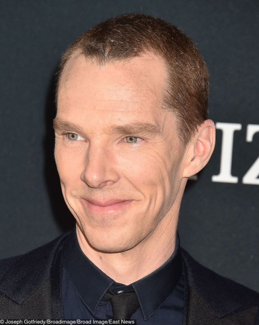 7 celebrities who prefer a plate of vegetables and decide to give up meat for good 7 celebrities who prefer a plate of vegetables and decide to give up meat for good