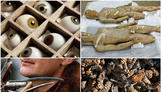 7 de la mayoría de los inesperados hallazgos de aduanas 7 de la mayoría de los inesperados hallazgos de aduanas