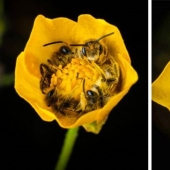 7 fotos que nos ayudan a mirar el mundo en el que vivimos, bajo una nueva perspectiva