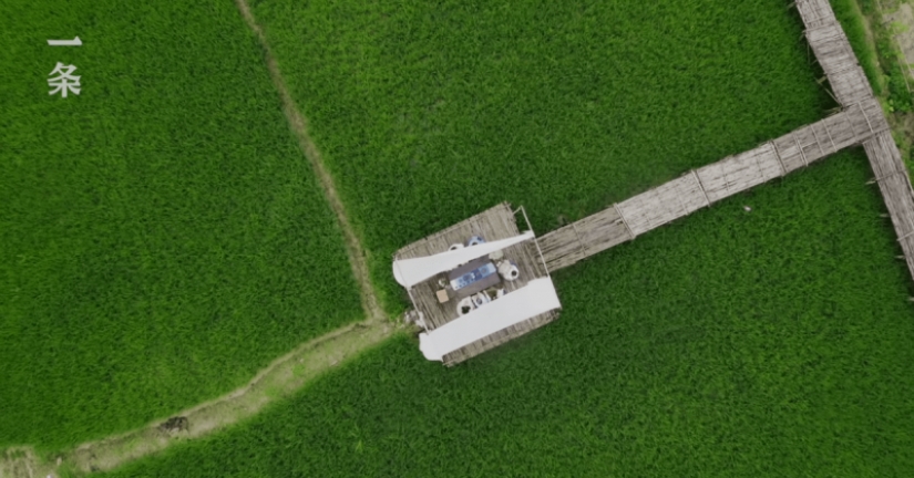 7 friends from China bought a purse mansion for a joint happy old age