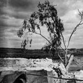 7 hechos sobre Mologa, la Atlántida rusa del siglo 20