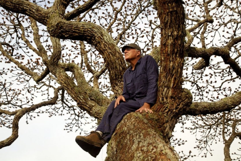 7 interesting facts about trees you didn't know about 7 interesting facts about trees you didn't know about