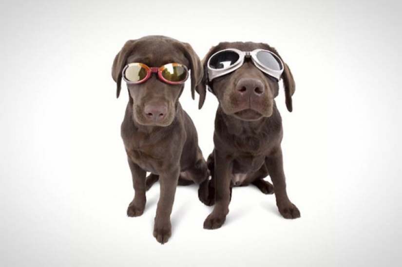 7 millonarios que se hicieron ricos gracias a una sola idea 7 millonarios que se hicieron ricos gracias a una sola idea