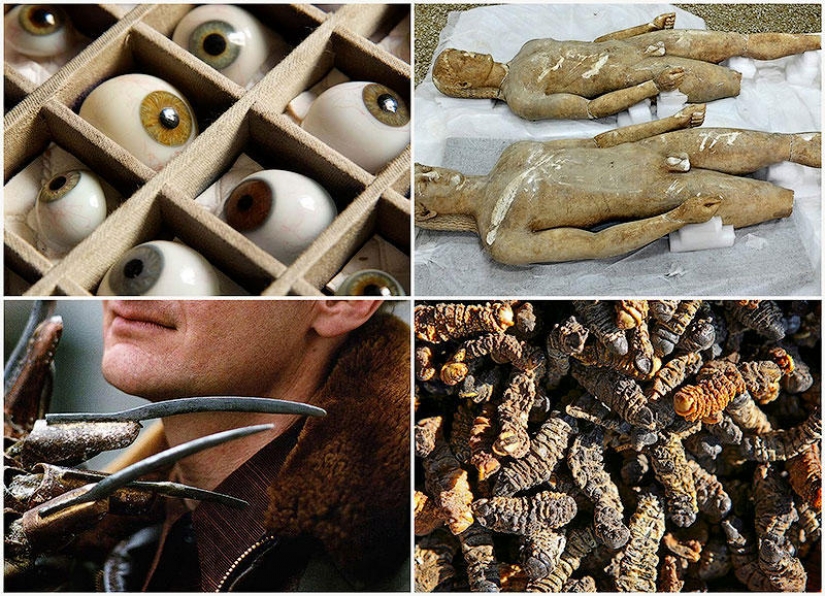 7 of the most unexpected finds of customs