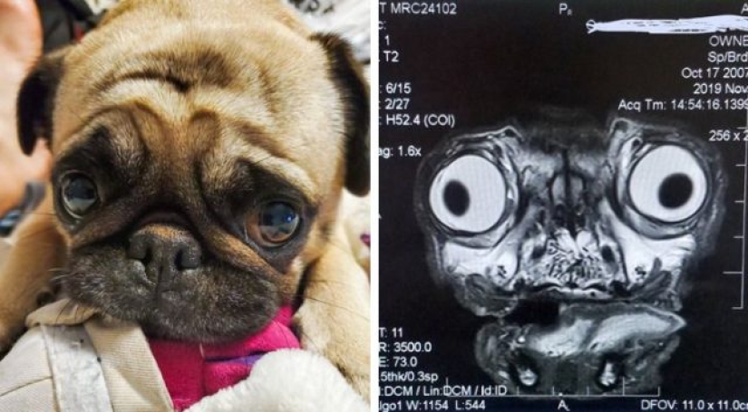 7 photos that help us to look at the world in which we live, under a new angle 7 photos that help us to look at the world in which we live, under a new angle