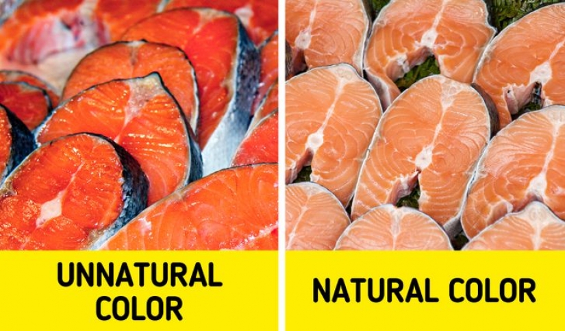 7 señales de que está a punto de comprar pescado que es peligroso para comer