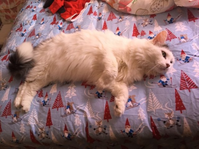 7 ways to keep warm at home