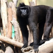 7 weirdest and scariest animals you must run from