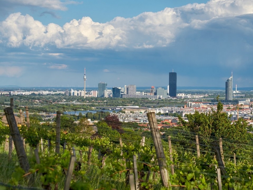 8 cosas que probablemente no sabes sobre Viena 8 cosas que probablemente no sabes sobre Viena