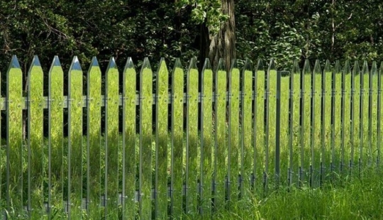 8 crazy ideas that worked great