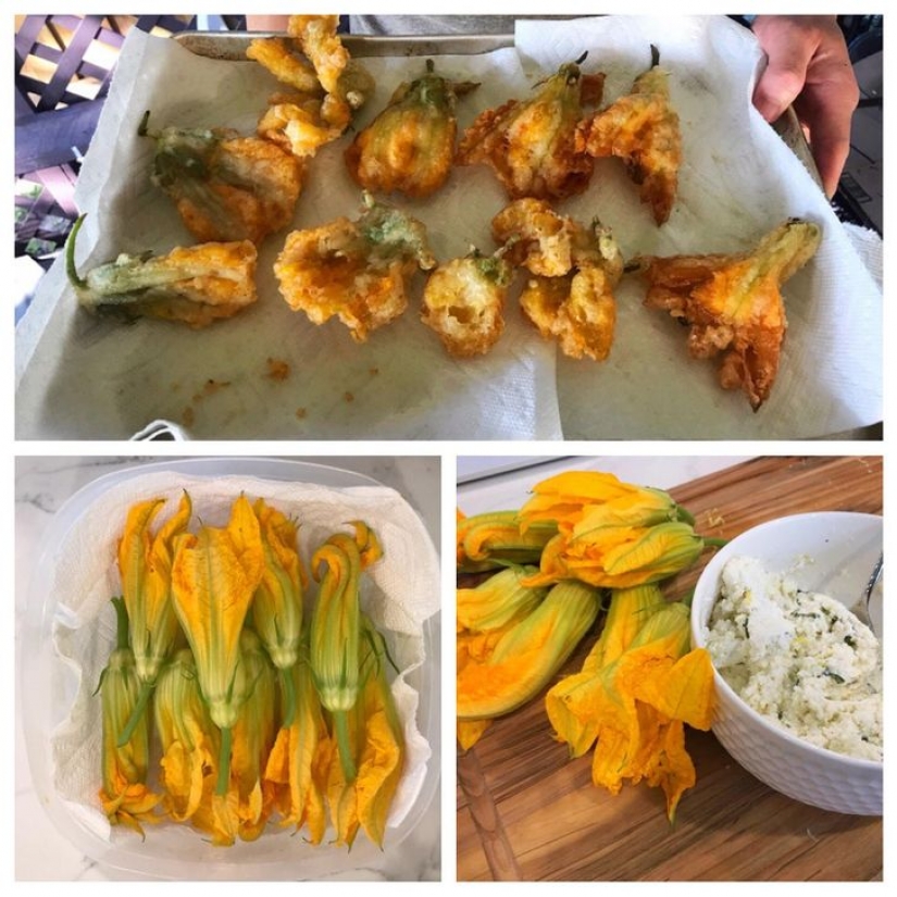 8 desperdicios de comida que puedes comer