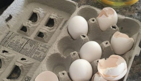 8 desperdicios de comida que puedes comer 8 desperdicios de comida que puedes comer