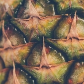 8 hechos más interesantes sobre la piña