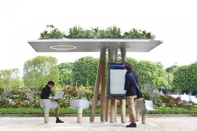 8 ideas locas que funcionaron muy bien