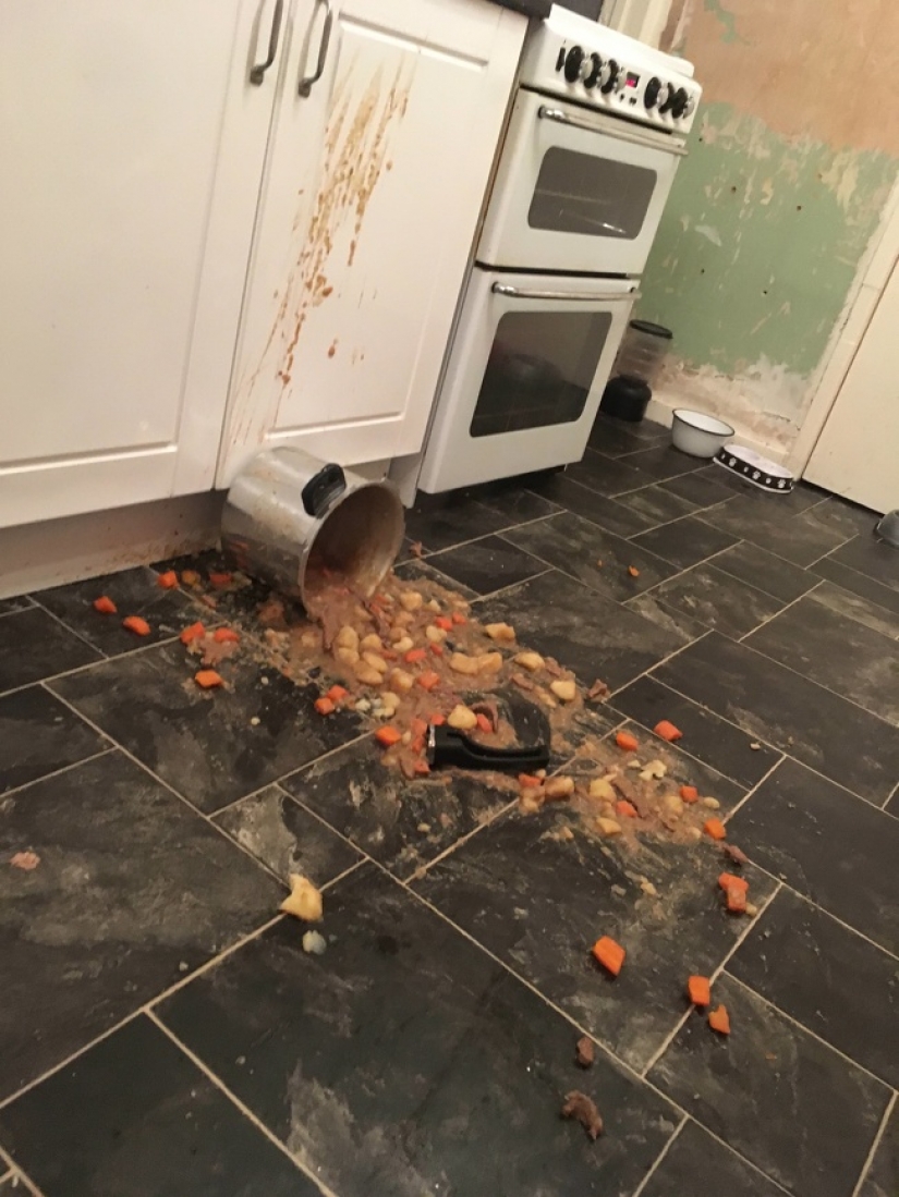 8 photos that reflect the pain of the words "It's not my day"