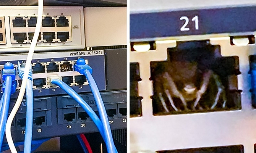 8 photos that reflect the pain of the words "It's not my day"