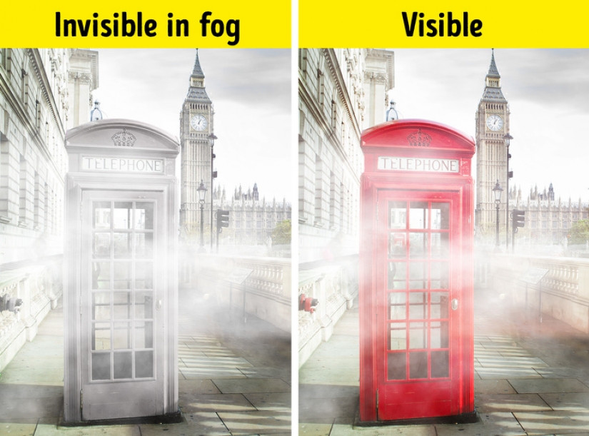 8 razones por las que las cosas ordinarias se ven como se ven