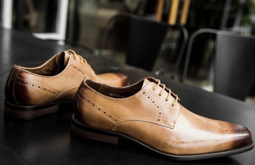 8 razones por las que las cosas ordinarias se ven como se ven