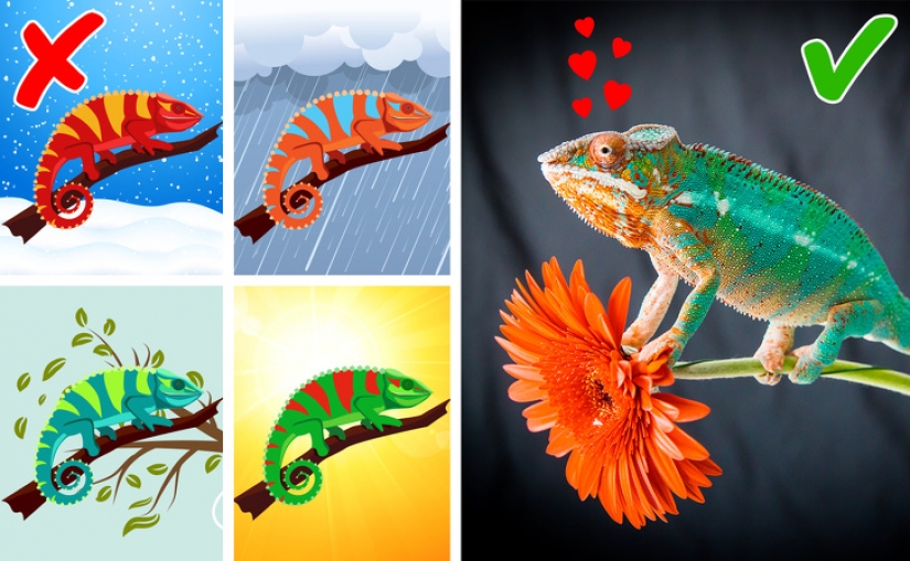 8 scientific beliefs we officially declare to be false 8 scientific beliefs we officially declare to be false