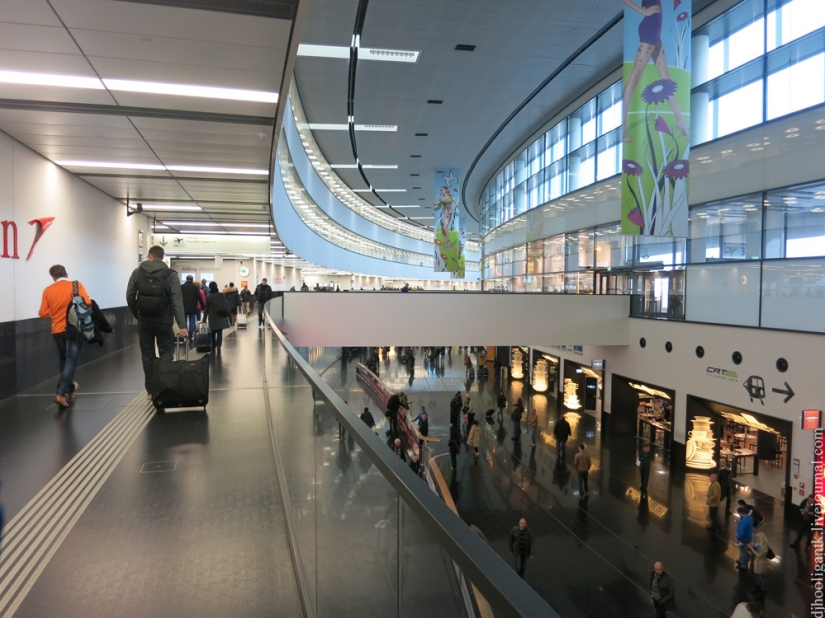 8 things you probably don't know about Vienna 8 things you probably don't know about Vienna