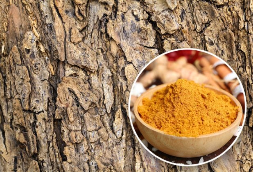 8 unexpected things you can eat