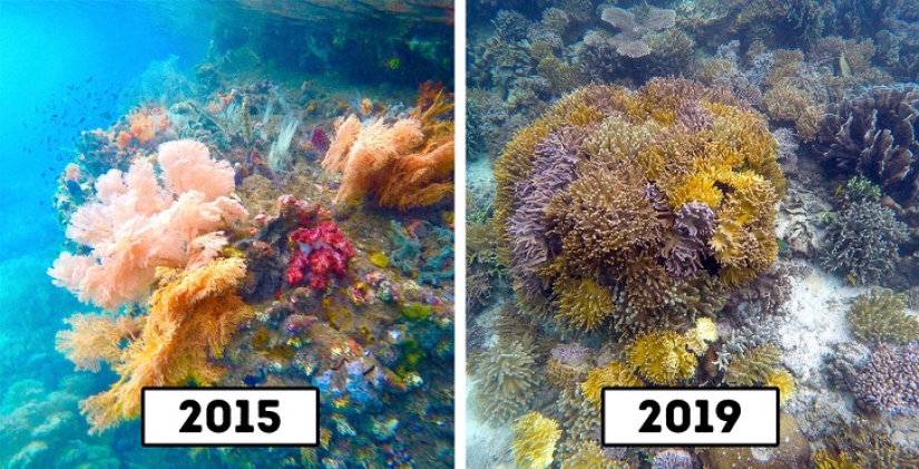 9 atracciones turísticas populares que ya no existen porque las destruimos