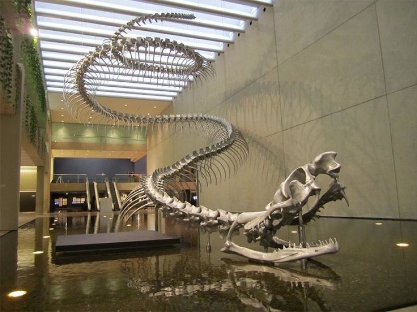 9 fotos que nos dieron ganas de desmayarnos de sorpresa 9 fotos que nos dieron ganas de desmayarnos de sorpresa