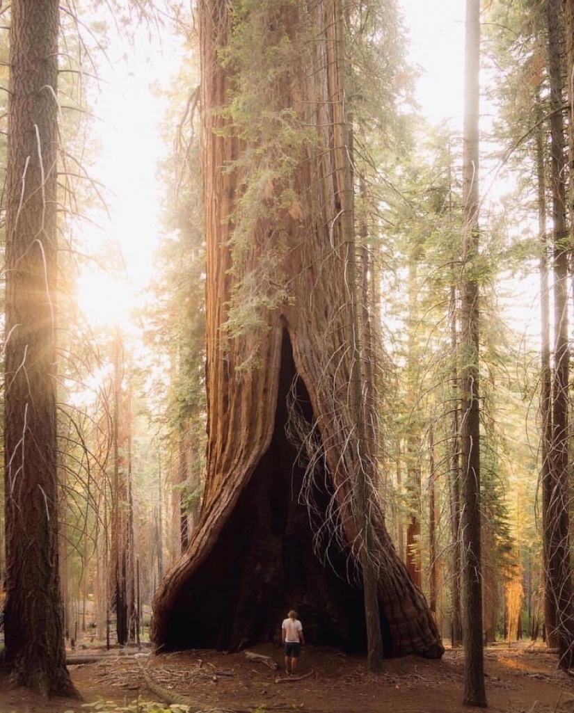 9 fotos que nos dieron ganas de desmayarnos de sorpresa 9 fotos que nos dieron ganas de desmayarnos de sorpresa