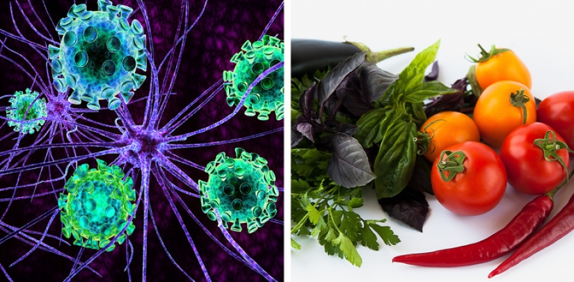 9 health conditions that mean it could be dangerous for you to eat tomatoes