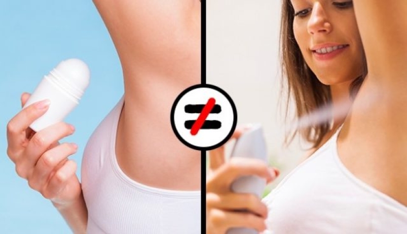 9 hechos impactantes que pondrán tu mundo patas arriba 9 hechos impactantes que pondrán tu mundo patas arriba