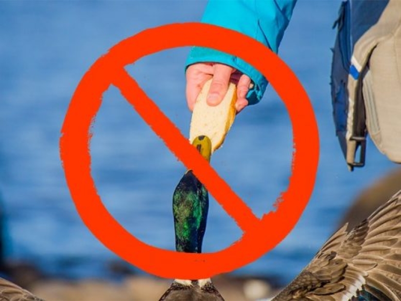 9 hechos impactantes que pondrán tu mundo patas arriba 9 hechos impactantes que pondrán tu mundo patas arriba