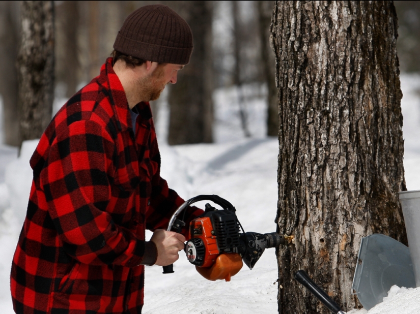 9 hechos sobre Canadá que no podías saber 9 hechos sobre Canadá que no podías saber