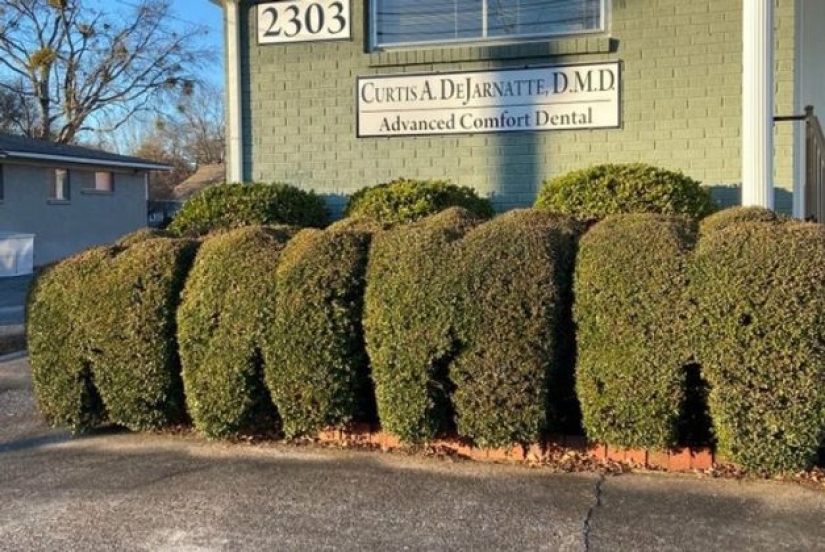 9 ideas inteligentes que iluminan el mundo con creatividad 9 ideas inteligentes que iluminan el mundo con creatividad