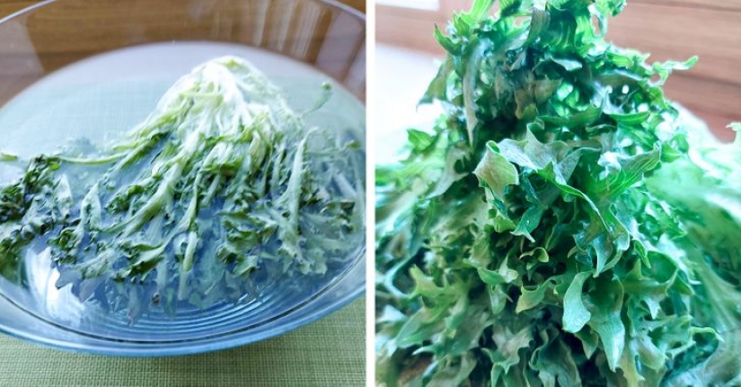 9 kitchen life hacks worthy of the Nobel Prize 9 kitchen life hacks worthy of the Nobel Prize