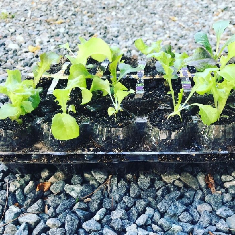 9 people who brilliantly solved their problem by thinking outside the box