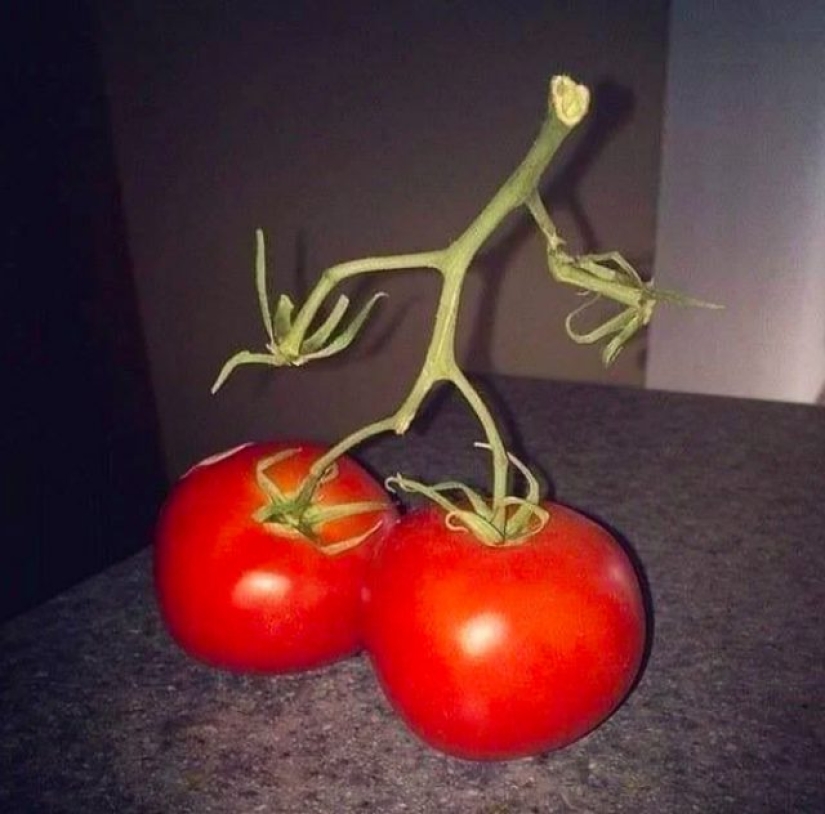 9 photos that can fool anyone