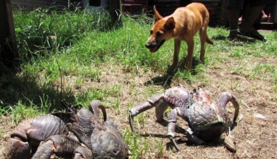 9 photos that made us want to pass out in surprise