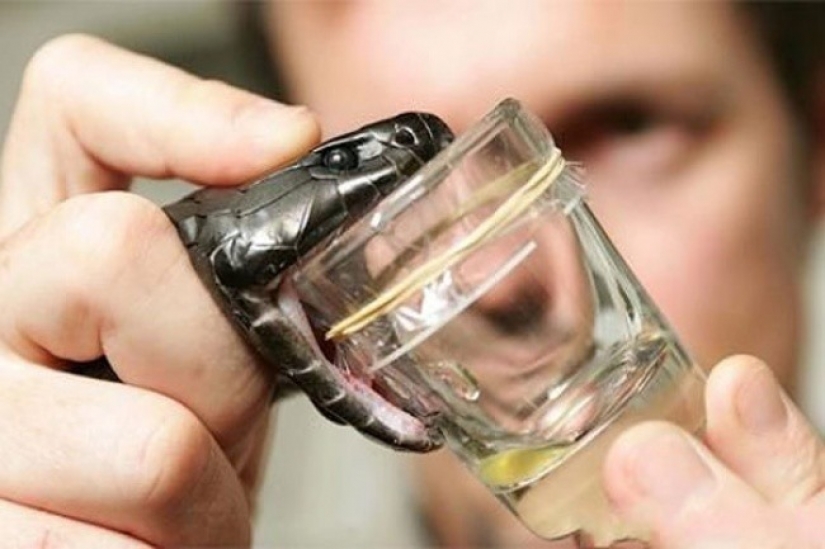 9 profesiones más inusuales