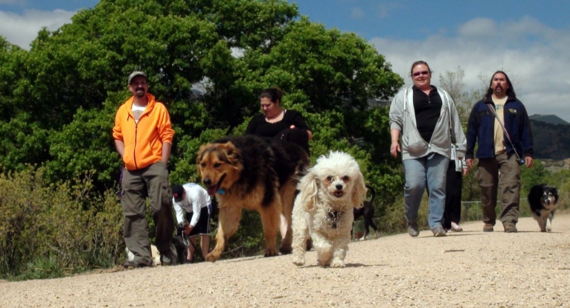 9 scientifically proven reasons to get a dog 9 scientifically proven reasons to get a dog